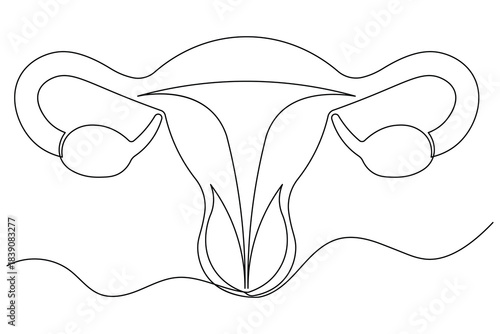 Minimalist style female uterus illustration continuous line drawing isolated