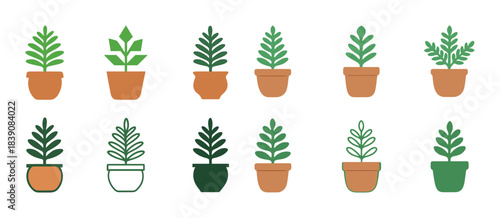 Collection of diverse potted plants in various shapes and green shades