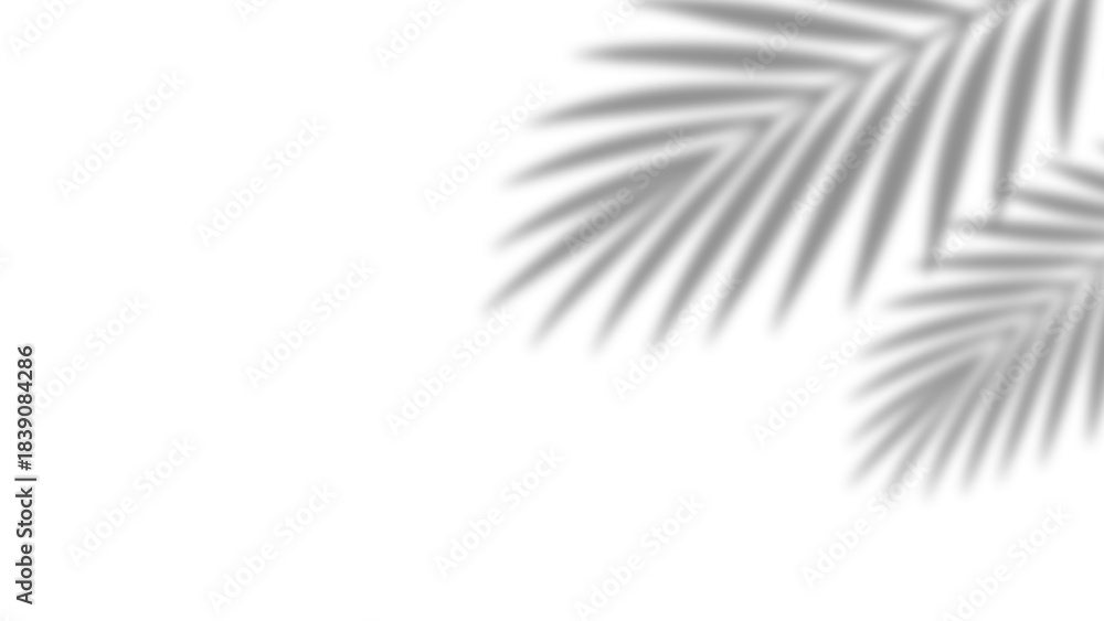 Obraz premium Shadow of realistic palm leaves with overlay effect summer decoration element on transparent background. Black and white tropical coconut leaf and branches blur shadow background. Vector illustration.