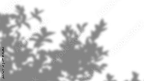 Realistic tree branches and leaves gray shadow overlay effect isolated on transparent background. Natural leaves and tree branches dark blur shadow background for sunlight. Vector illustration.