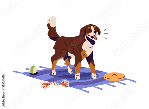 Naughty pup is barking loudly at home. Cute puppy of bernese mountain dog makes noise. Animal plays with toy, had fun. Unwanted behavior of pet. Flat isolated vector illustration on white background