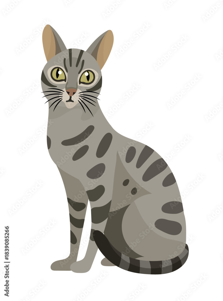 Fototapeta premium Egyptian Mau cat. Flat vector clipart illustration with isolated background.