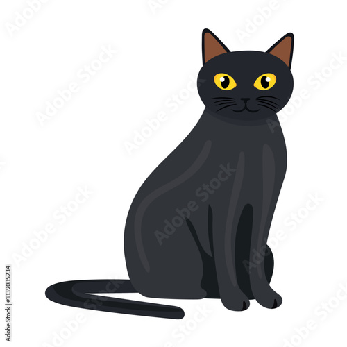 Bombay cat. Flat vector clipart illustration with isolated background.