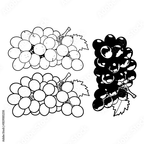 sweets grapes. Vector set of various grape variety silhouette pack