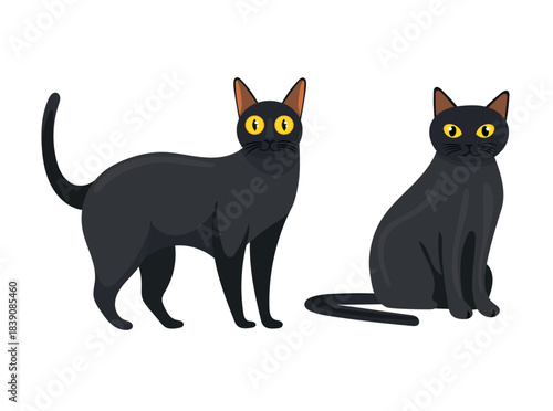 Bombay cat. Flat vector clipart illustration with isolated background.