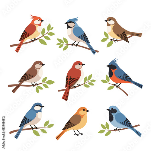 Diverse collection of cartoon birds perched on branches, featuring various species with colorful plumage and simple, flat illustrations.