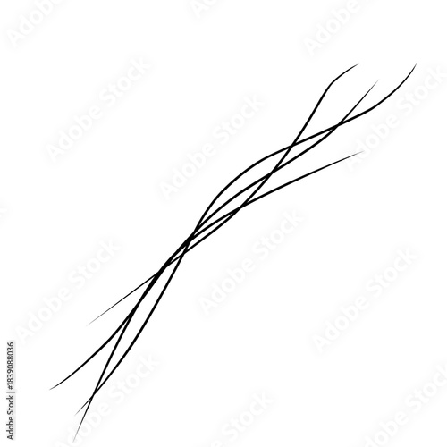Strands of hair illustration 