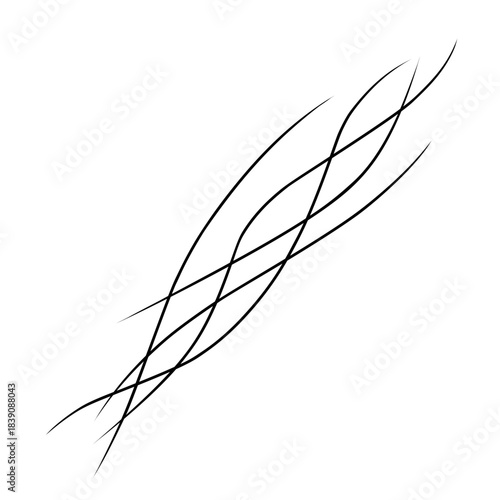 Strands of hair illustration 
