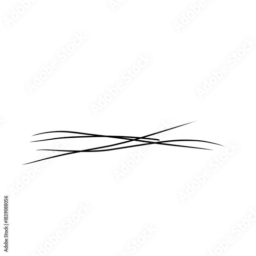 Strands of hair illustration 