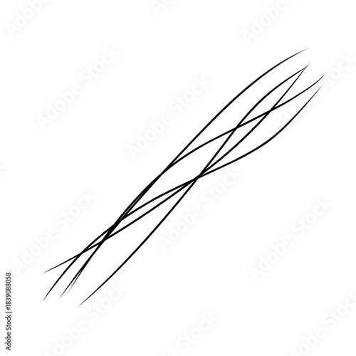 Strands of hair illustration 