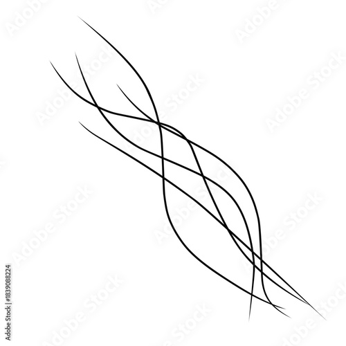 Strands of hair illustration 
