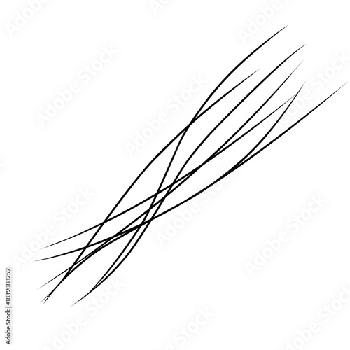 Strands of hair illustration 