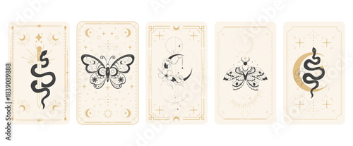 Tarot card frame spiritual esoteric reverse border magic sacred cover card. Mystic elements moon, sun, magic moth, snake fantasy sign.