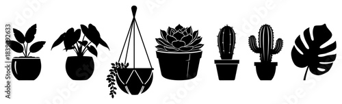 Decorative houseplant and cactus silhouette collection in flower pots