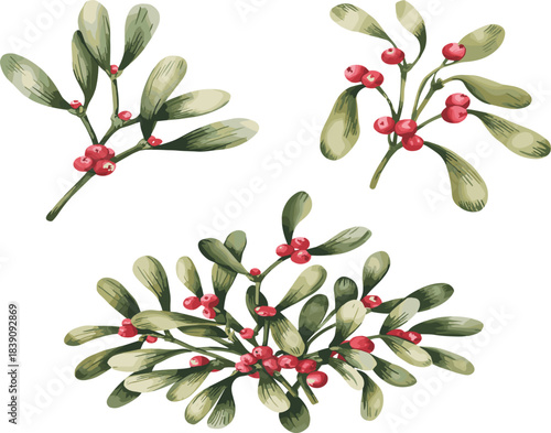Watercolor style Christmas mistletoe branches with pale green leaves and bright red berries, traditional festive winter holiday foliage collection