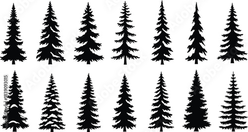 Pine, tree, silhouette, conifer, forest, winter, snow, nature, foliage, seasonal, setup, landscape, vector, black, pose, flavector, minimal, evergreen, outdoor, botanical