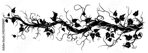 Twisted vine branch silhouette vector illustration with ivy leaves and decorative swirls for floral border or divider