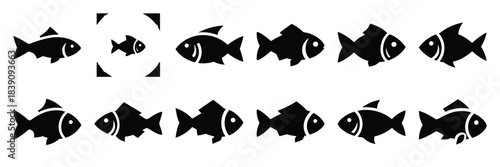 A collection of fish silhouette icon set. simple design black color and white background.