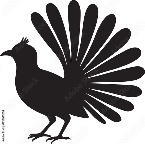 Peacock Bird Silhouette Vector – Decorative Bird with Fanned Tail Isolated on White