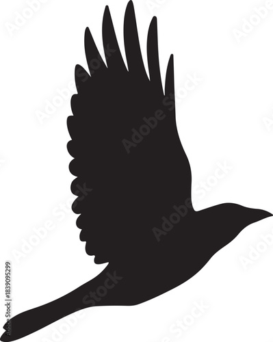 Flying Bird Silhouette. Vector illustration of an eagle, crow, or hawk in flight isolated on white background.