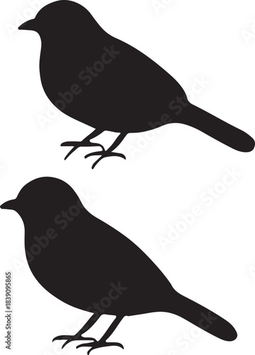Black silhouette of two small songbirds or sparrow pair isolated on white