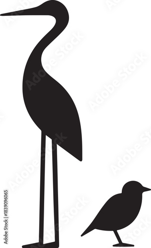 Black Silhouette of Tall Heron and Small Songbird Standing Together