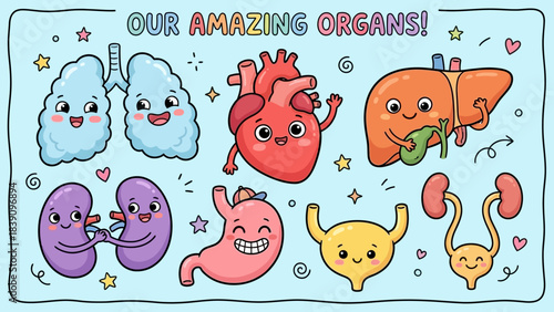 Our Amazing Organs: Cartoon-Style Smiling Heart, Lungs, Liver, Kidneys, Stomach, Bladder, and Uterus Icons for Bohemian-Inspired Educational UI, Journaling, and Whimsical Visual Storytelling
