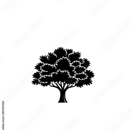 Silhouette of a large leafy tree