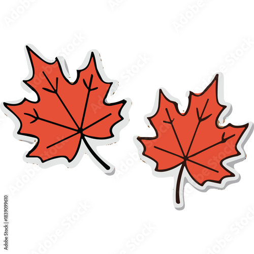 Vibrant Orange Maple Leaves Illustration with Black Veins on White Background Representing Autumn Season