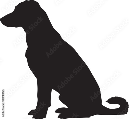 Silhouette of a dog sitting animal