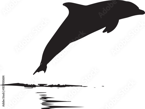 Silhouette of a dolphin jumping out of water on a white background