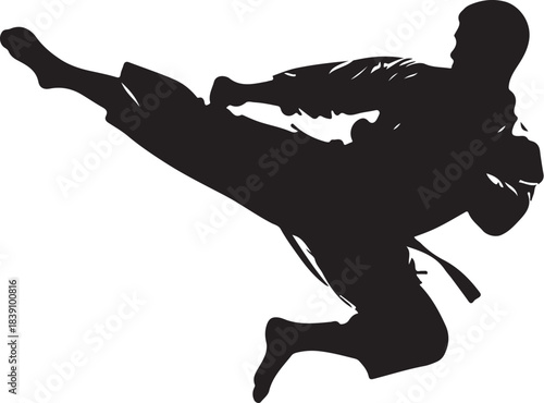 Silhouette of a Karate Fighter Performing a Kick on White Background