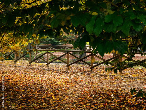 Autumn at Parco Sempione, Milan