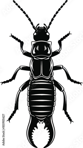 Termite Insect Vector Illustration