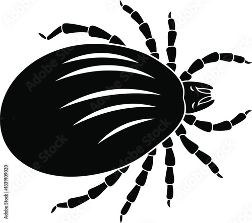 Tick Parasite Insect Silhouette Illustration