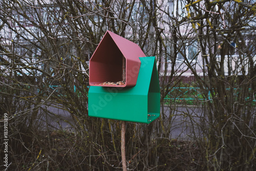 Free plastic bird feeder in the garden printed on a 3d printer. Feeding birds in winter. Bird watching. Eco-friendly backyard habitat.