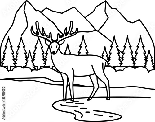 deer with antlers standing by river in forest, mountains and pine trees landscape outline illustration