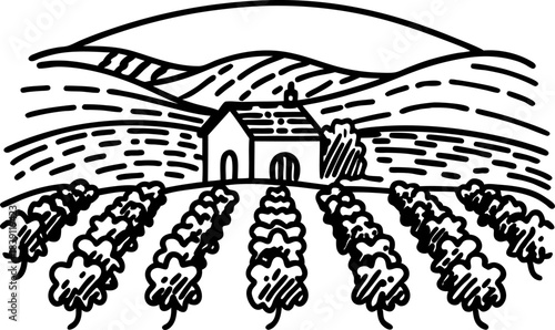 Countryside farmhouse with vineyard fields and rolling hills rural landscape line drawing illustration