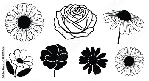 Collection of Black and White Flower Silhouettes flowers