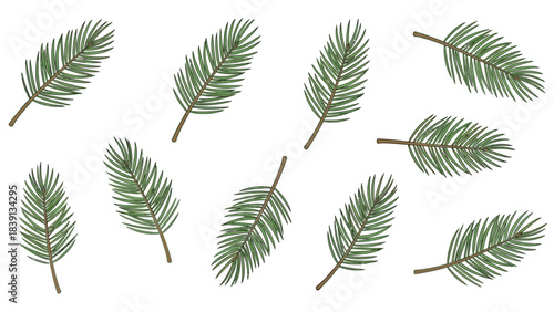Collection of Green Pine Tree Sprigs Needle Branches Vector
