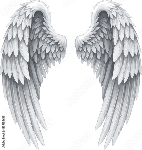 Isolated a realistic angel wings vector art with white background..