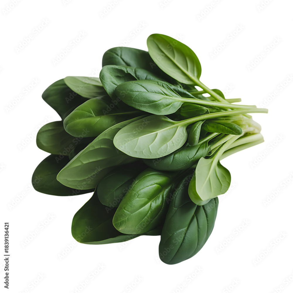 Obraz premium Fresh bunch of spinach leaves isolated on transparent background
