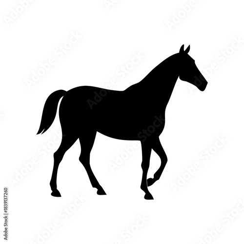 Silhouette of a rearing horse standing on its hind legs