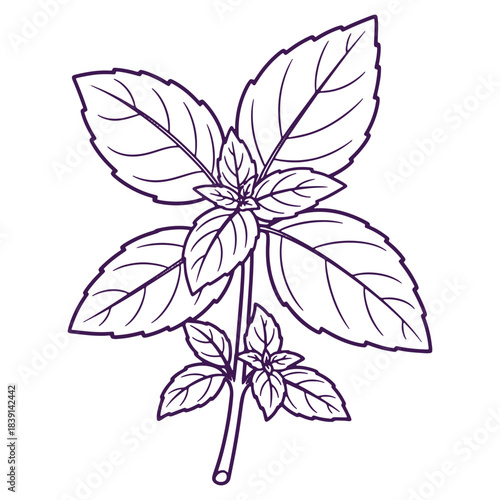 Vector illustration of a flower