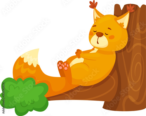 Little squirrel enjoying a restful sleep on tree branch