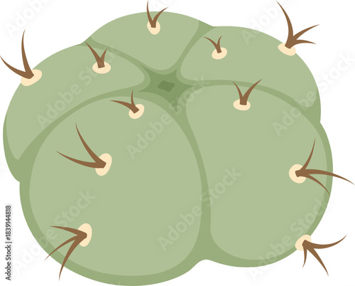 Green desert cactus plant with thorns illustration