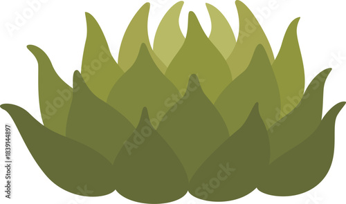 Green succulent plant leaves forming an abstract pattern