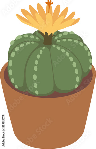 Cactus plant blooming with yellow flower in a pot