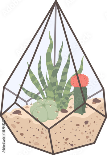Geometric terrarium holding assorted succulents and cacti