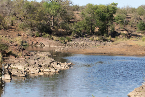 Sweni hide in early spring with quite high water level for that time of the year